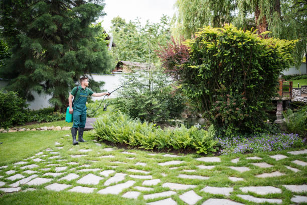Best Bird Control  in Lacey, WA