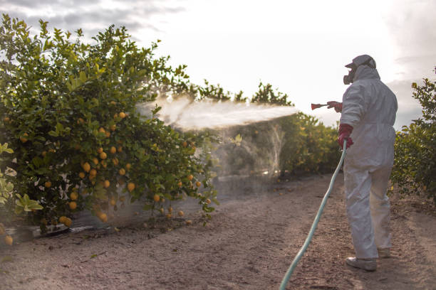 Best Pest Inspection Near Me  in Lacey, WA