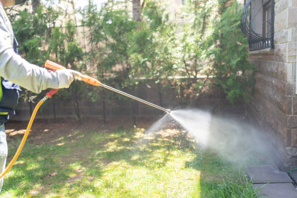 Best Exterminator Services  in Lacey, WA
