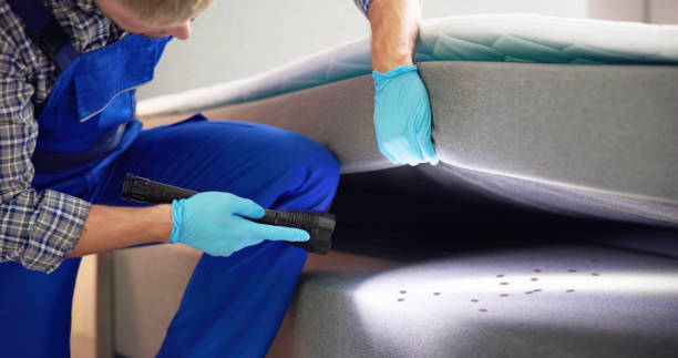 Best Rat Extermination Near Me  in Lacey, WA