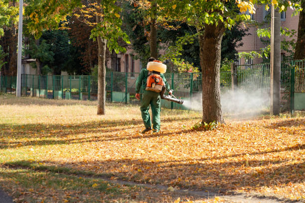 Best Pest Control Near Me  in Lacey, WA